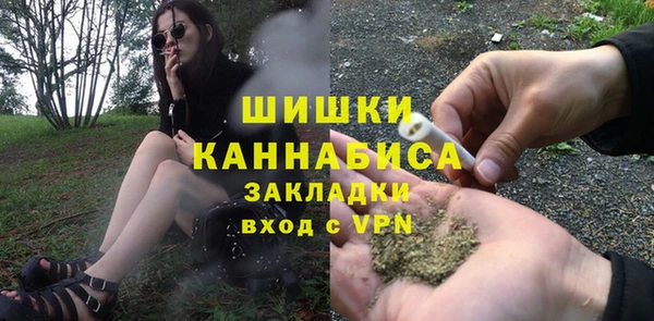 mix Ельня