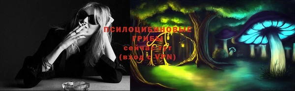 mix Ельня