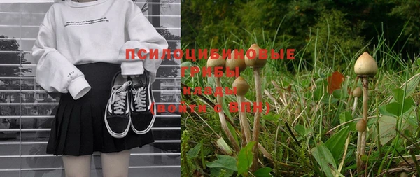 mix Ельня