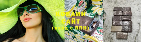 mix Ельня