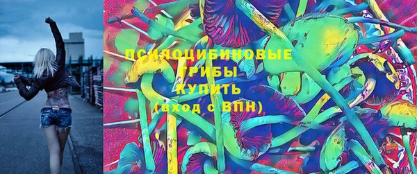 mix Ельня