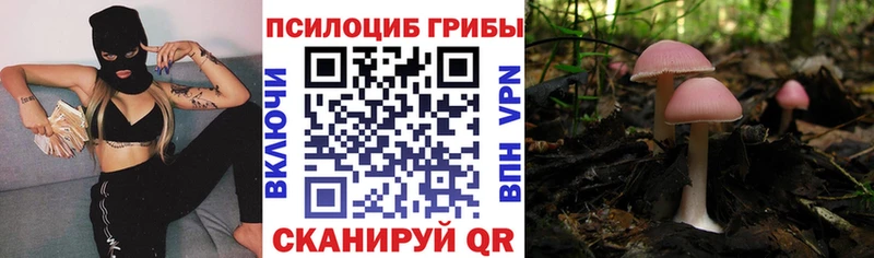 Псилоцибиновые грибы ЛСД  kraken зеркало  Новошахтинск 