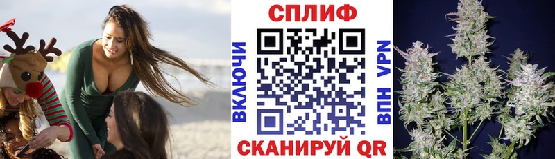 Бошки Шишки MAZAR  Новошахтинск 